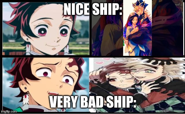 Tanjiro approval | NICE SHIP:; VERY BAD SHIP: | image tagged in tanjiro approval | made w/ Imgflip meme maker