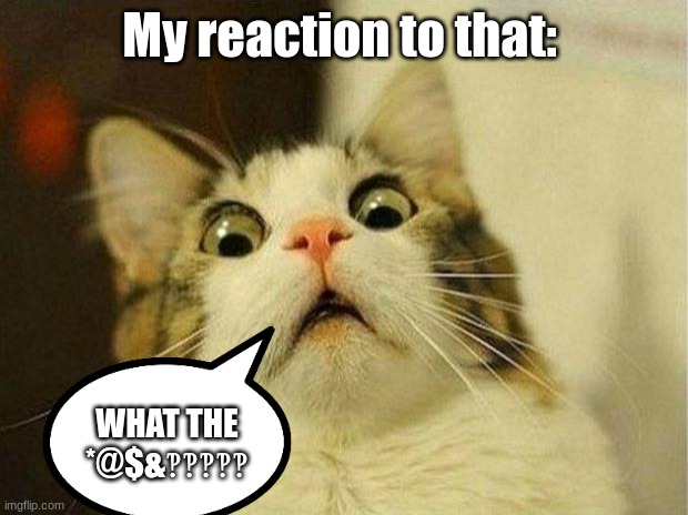 Scared Cat Meme | My reaction to that: WHAT THE *@$&‽‽‽‽‽ | image tagged in memes,scared cat | made w/ Imgflip meme maker