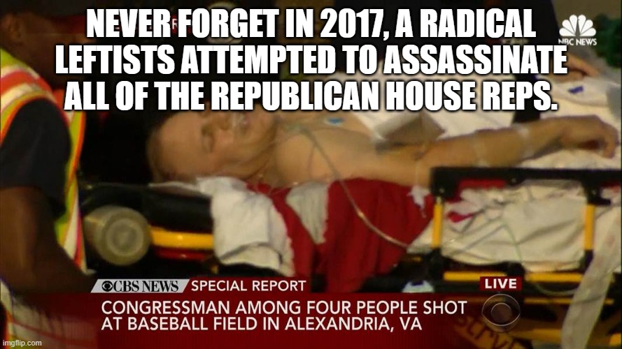 Scalise shot | NEVER FORGET IN 2017, A RADICAL LEFTISTS ATTEMPTED TO ASSASSINATE ALL OF THE REPUBLICAN HOUSE REPS. | image tagged in scalise shot | made w/ Imgflip meme maker
