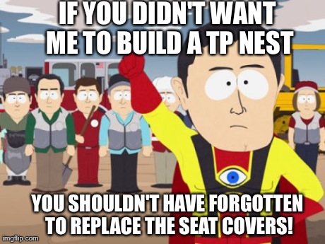 Captain Hindsight | IF YOU DIDN'T WANT ME TO BUILD A TP NEST YOU SHOULDN'T HAVE FORGOTTEN TO REPLACE THE SEAT COVERS! | image tagged in memes,captain hindsight | made w/ Imgflip meme maker