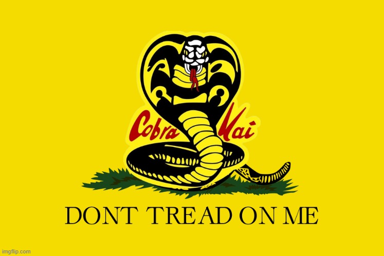 Don't tread on me! | image tagged in cobra kai,karate kid,funny memes | made w/ Imgflip meme maker