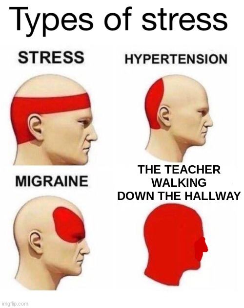 The teacher gets so stressed... it's not like we have to do that every day | THE TEACHER WALKING DOWN THE HALLWAY | image tagged in types of stress,school,teachers,hallway,funny,relatable | made w/ Imgflip meme maker