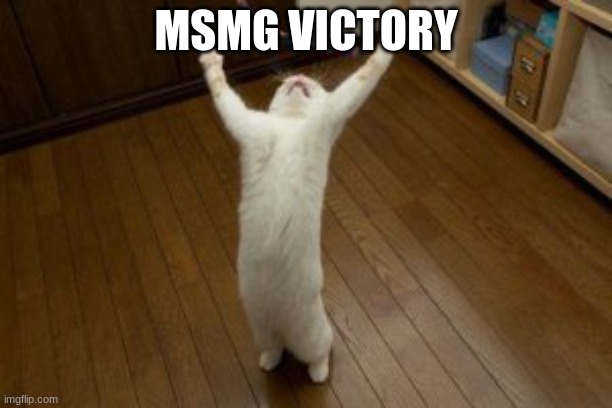 we won | MSMG VICTORY | image tagged in victory monday | made w/ Imgflip meme maker