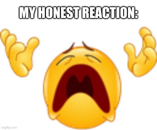 whyyyy | MY HONEST REACTION: | image tagged in whyyyy | made w/ Imgflip meme maker