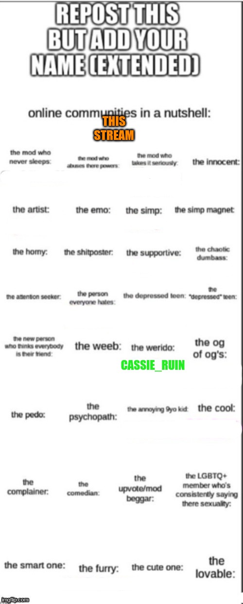 For the stream to fill out | THIS STREAM; CASSIE_RUIN | image tagged in repost but add your name extended | made w/ Imgflip meme maker
