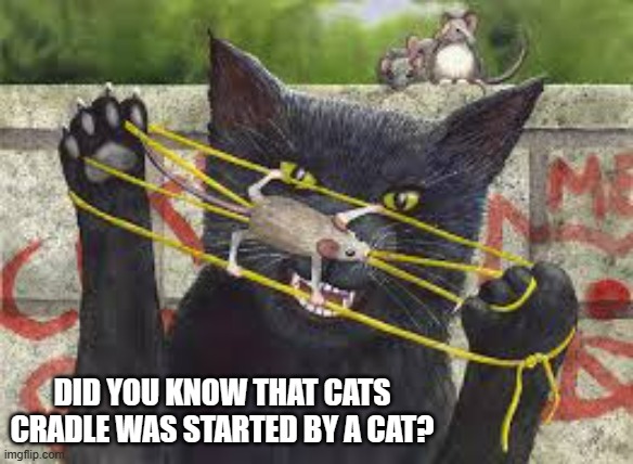 meme by Brad cats cradle | DID YOU KNOW THAT CATS CRADLE WAS STARTED BY A CAT? | image tagged in cat,cat memes,funny cat memes,humor,funny memes,funny | made w/ Imgflip meme maker