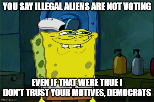 Why do democrats love illegal immigration? | YOU SAY ILLEGAL ALIENS ARE NOT VOTING; EVEN IF THAT WERE TRUE I DON'T TRUST YOUR MOTIVES, DEMOCRATS | image tagged in memes,don't you squidward,skeptical | made w/ Imgflip meme maker