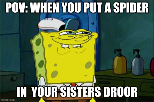 Don't You Squidward | POV: WHEN YOU PUT A SPIDER; IN  YOUR SISTERS DROOR | image tagged in memes,don't you squidward | made w/ Imgflip meme maker