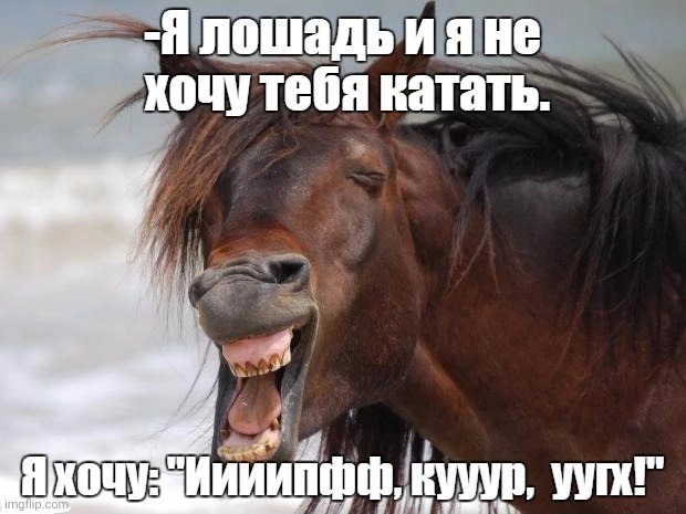 -Horse of corse. | image tagged in foreign policy,trojan horse,don't worry be happy,in soviet russia,funny animals,so true memes | made w/ Imgflip meme maker