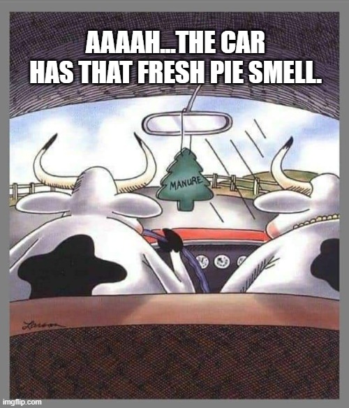 AAAAH...THE CAR HAS THAT FRESH PIE SMELL. | made w/ Imgflip meme maker