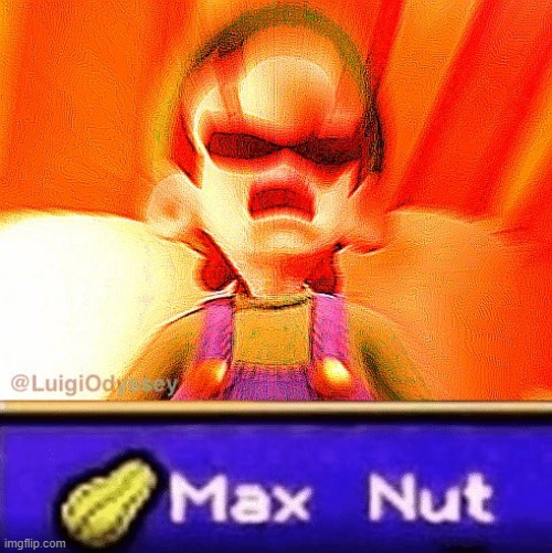 Max Nut | image tagged in max nut | made w/ Imgflip meme maker