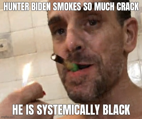 Oh damn. | HUNTER BIDEN SMOKES SO MUCH CRACK; HE IS SYSTEMICALLY BLACK | image tagged in memes | made w/ Imgflip meme maker