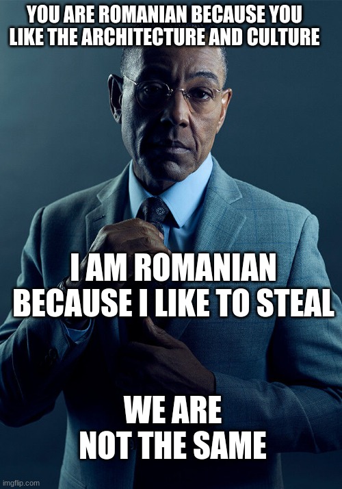 Romania | YOU ARE ROMANIAN BECAUSE YOU LIKE THE ARCHITECTURE AND CULTURE; I AM ROMANIAN BECAUSE I LIKE TO STEAL; WE ARE NOT THE SAME | image tagged in gus fring we are not the same,romania,stealing | made w/ Imgflip meme maker