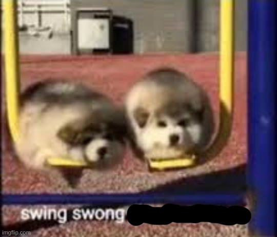 swing swong | image tagged in swing swong | made w/ Imgflip meme maker