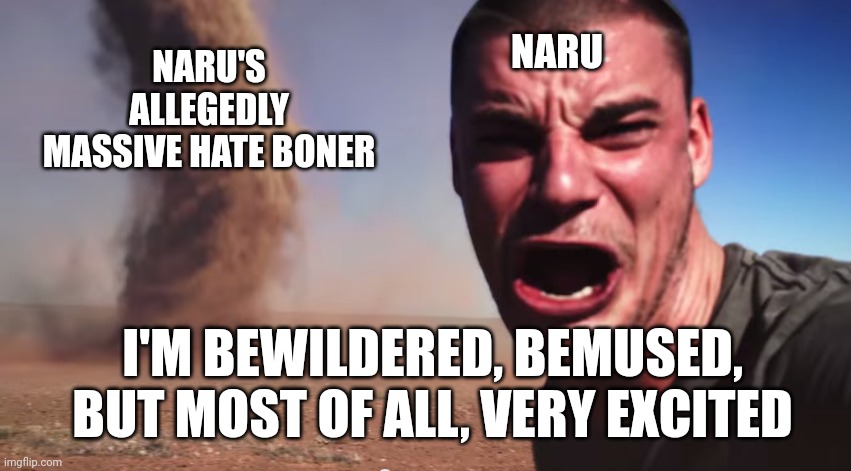 Here it comes | NARU; NARU'S ALLEGEDLY MASSIVE HATE BONER; I'M BEWILDERED, BEMUSED, BUT MOST OF ALL, VERY EXCITED | image tagged in here it comes | made w/ Imgflip meme maker