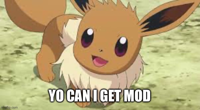 Eevee | YO CAN I GET MOD | image tagged in eevee | made w/ Imgflip meme maker