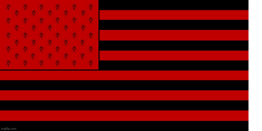 Rate my flag | image tagged in anti furry flag | made w/ Imgflip meme maker