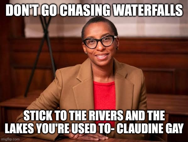 Claudine Gay | DON'T GO CHASING WATERFALLS; STICK TO THE RIVERS AND THE LAKES YOU'RE USED TO- CLAUDINE GAY | image tagged in claudine gay | made w/ Imgflip meme maker