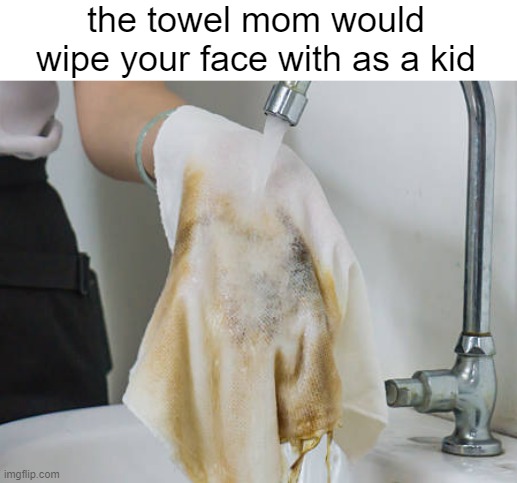 the towel mom would wipe your face with as a kid | image tagged in memes,mom,kids,growing up,towel,kitchen | made w/ Imgflip meme maker