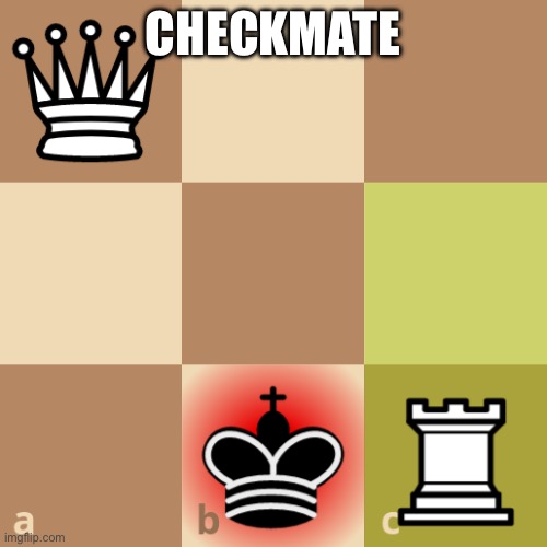 When your debate opponent plays the race card | CHECKMATE | image tagged in checkmated king | made w/ Imgflip meme maker