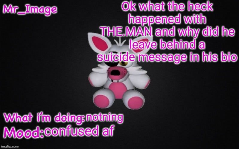 it looks like it at least | Ok what the heck happened with THE.MAN and why did he leave behind a suicide message in his bio; notning; confused af | image tagged in mangle plush announcement temp | made w/ Imgflip meme maker