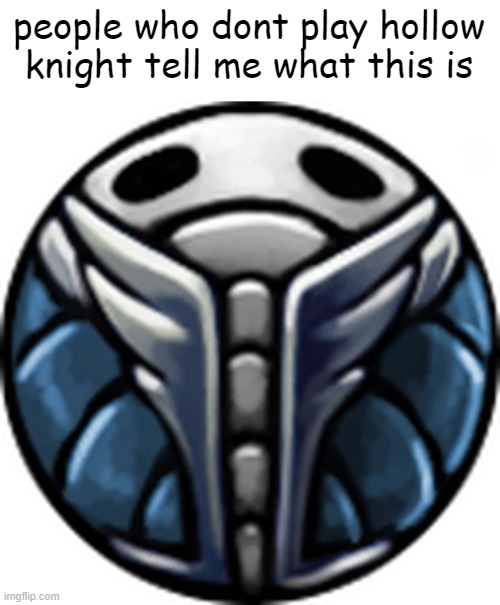 people who dont play hollow knight tell me what this is | image tagged in hollow knight | made w/ Imgflip meme maker