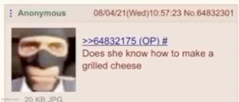 does she know how to make a grilled cheese | image tagged in does she know how to make a grilled cheese | made w/ Imgflip meme maker