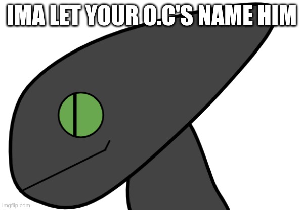 Best one wins | IMA LET YOUR O.C'S NAME HIM | image tagged in afrdghjkmnhbgvfcd | made w/ Imgflip meme maker