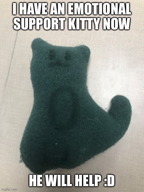 I HAVE AN EMOTIONAL SUPPORT KITTY NOW; HE WILL HELP :D | made w/ Imgflip meme maker