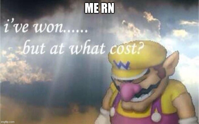 Ive won, but at what cost? | ME RN | image tagged in ive won but at what cost | made w/ Imgflip meme maker