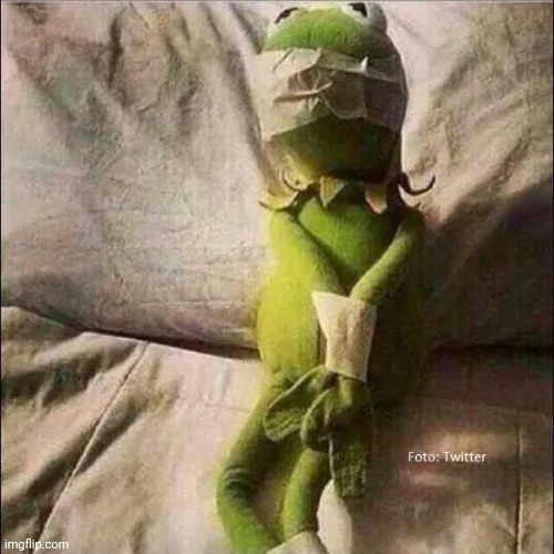 Kermit frog tied up | image tagged in kermit frog tied up | made w/ Imgflip meme maker
