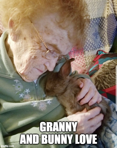 Granny and Bunny | GRANNY AND BUNNY LOVE | image tagged in bunnies | made w/ Imgflip meme maker