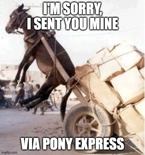 Horse lifted in air | I'M SORRY, I SENT YOU MINE; VIA PONY EXPRESS | image tagged in horse lifted in air | made w/ Imgflip meme maker