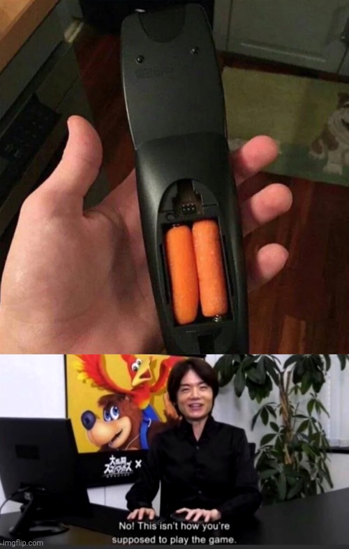 Carrots as batteries, hmmm | image tagged in no this isn t how your supposed to play the game,carrots,carrot,batteries,memes,remote control | made w/ Imgflip meme maker