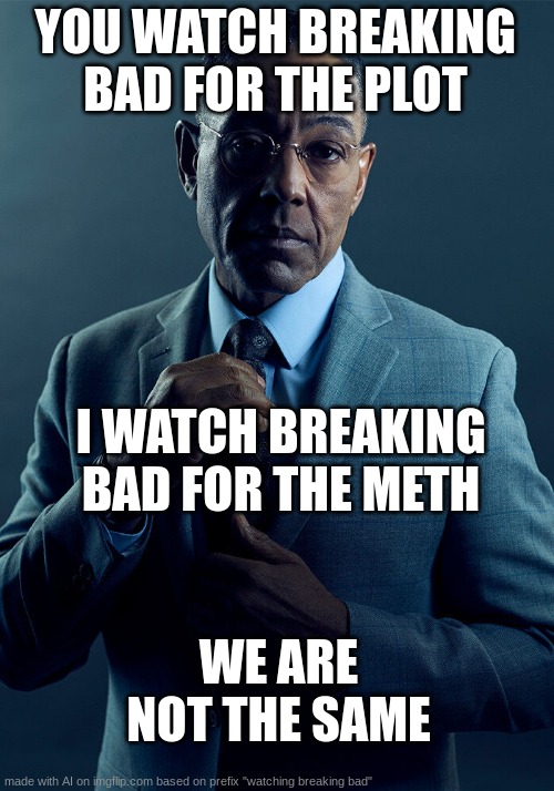 I am simply better | YOU WATCH BREAKING BAD FOR THE PLOT; I WATCH BREAKING BAD FOR THE METH; WE ARE NOT THE SAME | image tagged in gus fring we are not the same,breaking bad | made w/ Imgflip meme maker