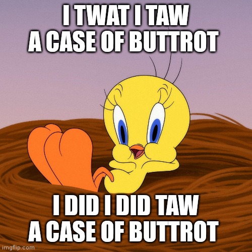 I tawt I taw a case of Buttrot | I TWAT I TAW A CASE OF BUTTROT; I DID I DID TAW A CASE OF BUTTROT | image tagged in funny memes | made w/ Imgflip meme maker