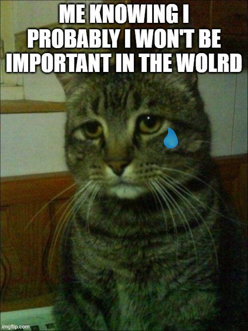 (Mod note: surprise! You are V E R Y important! :D) | ME KNOWING I PROBABLY I WON'T BE IMPORTANT IN THE WOLRD | image tagged in memes,depressed cat | made w/ Imgflip meme maker