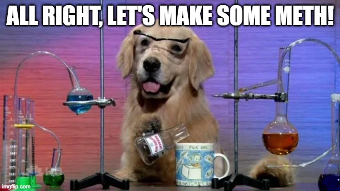 Chem Dog | ALL RIGHT, LET'S MAKE SOME METH! | image tagged in funny dogs | made w/ Imgflip meme maker
