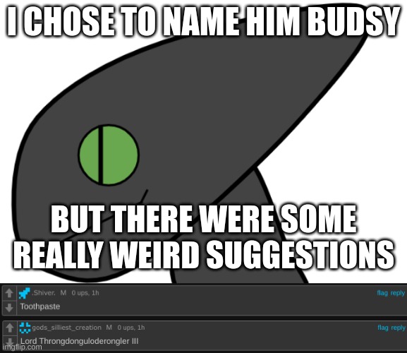 Budsy | I CHOSE TO NAME HIM BUDSY; BUT THERE WERE SOME REALLY WEIRD SUGGESTIONS | image tagged in fghdjfkjfhtgtrferdgtfh | made w/ Imgflip meme maker