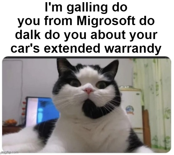 I'm galling do you from Migrosoft do dalk do you about your car's extended warrandy | image tagged in funny animals,cat,funny | made w/ Imgflip meme maker