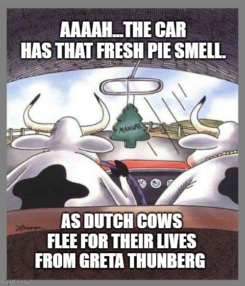 AS DUTCH COWS FLEE FOR THEIR LIVES FROM GRETA THUNBERG | made w/ Imgflip meme maker