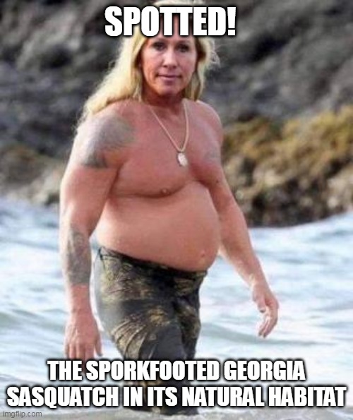 Sporkfooted Georgia Sasquatch | SPOTTED! THE SPORKFOOTED GEORGIA SASQUATCH IN ITS NATURAL HABITAT | image tagged in marjorie taylor greene,maga,mtg,trump2024 | made w/ Imgflip meme maker