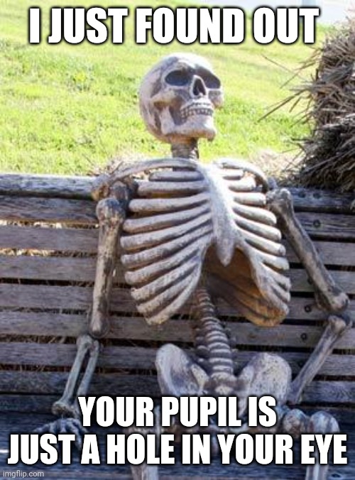 Waiting Skeleton Meme | I JUST FOUND OUT; YOUR PUPIL IS JUST A HOLE IN YOUR EYE | image tagged in memes,waiting skeleton | made w/ Imgflip meme maker