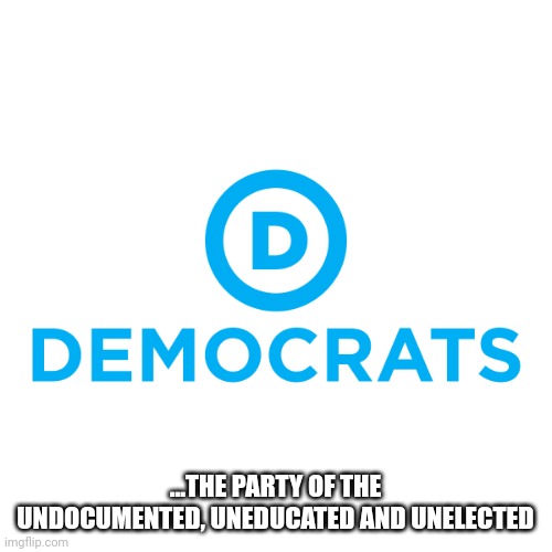 Zero net outcome | ...THE PARTY OF THE UNDOCUMENTED, UNEDUCATED AND UNELECTED | image tagged in democrats | made w/ Imgflip meme maker