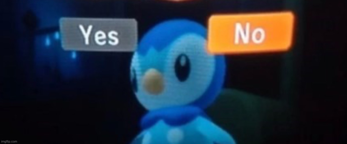 Caption this | image tagged in piplup no | made w/ Imgflip meme maker