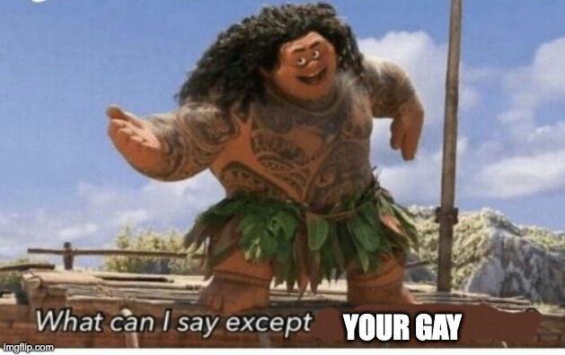 Moana maui what can I say except blank | YOUR GAY | image tagged in moana maui what can i say except blank | made w/ Imgflip meme maker