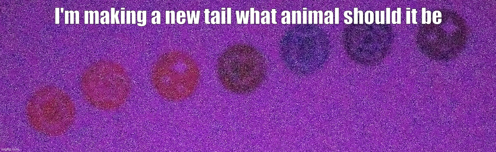 Tail | I'm making a new tail what animal should it be | image tagged in animal,tail | made w/ Imgflip meme maker