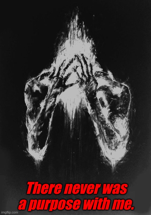 There never was a purpose with me. | made w/ Imgflip meme maker