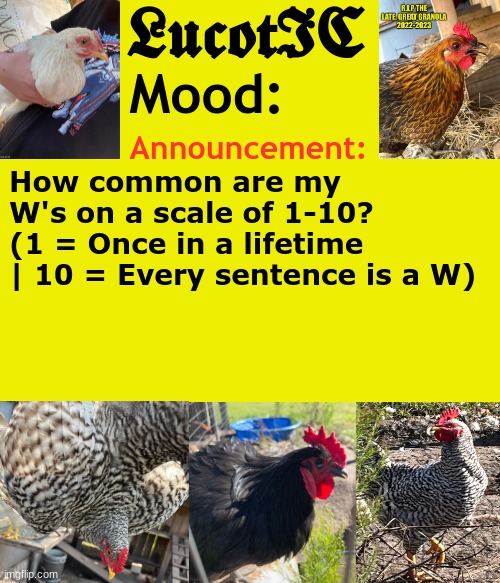 . | How common are my W's on a scale of 1-10? 
(1 = Once in a lifetime | 10 = Every sentence is a W) | image tagged in lucotic's chicken announcement template | made w/ Imgflip meme maker