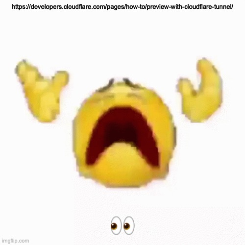 :nooo: | https://developers.cloudflare.com/pages/how-to/preview-with-cloudflare-tunnel/; 👀 | image tagged in nooo | made w/ Imgflip meme maker